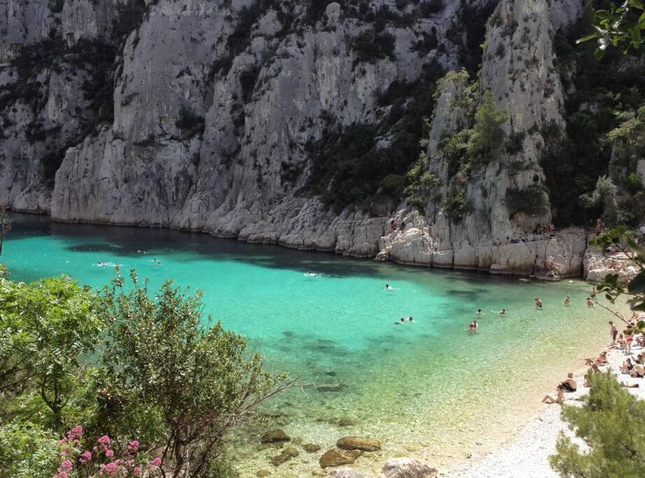 Apartment Dans De Charme, Piscine, Proche